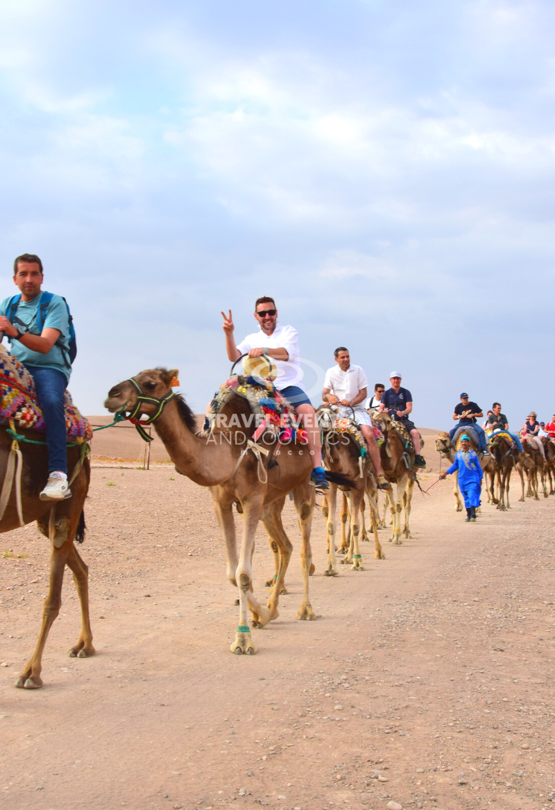 Balade à dos de dromadaire dans le désert Agafay - Travel And Events