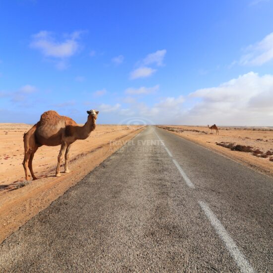 Circuits au maroc