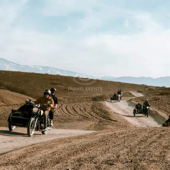 En sidecar dans le désert d'Agafay - Activités et expériences - Travel And Events